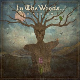 IN THE WOODS - Diversum CD