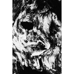 PARÁSITO / MOLBOL - Vol.III Cassette
