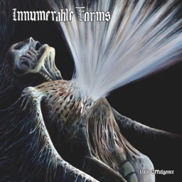 INNUMERABLE FORMS - Pain Effulgence CD