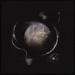 ENTHRONED - Cold Black Suns CD