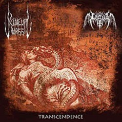 PRIMEVAL MASS / IASMA - Transcendence CD